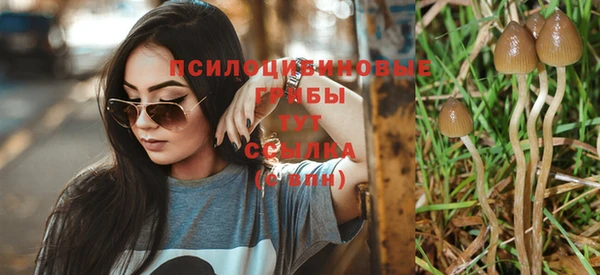 таблы Няндома
