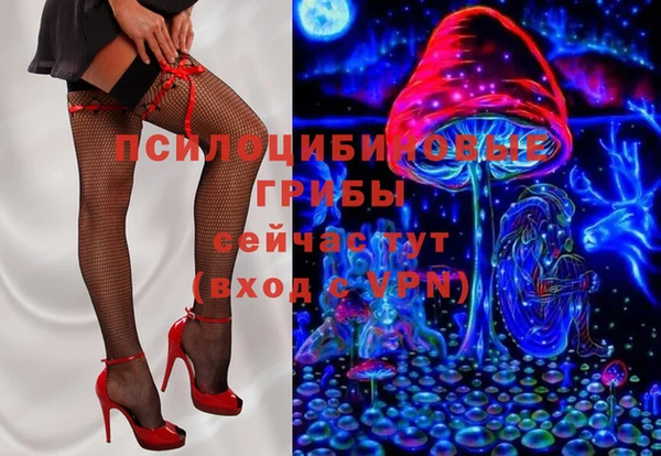 амф Нязепетровск