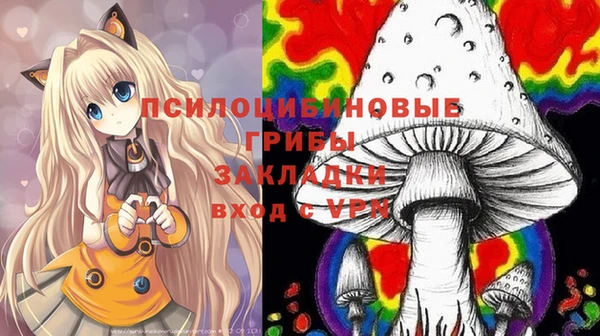 амф Нязепетровск